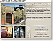 Lofts at Castleberry