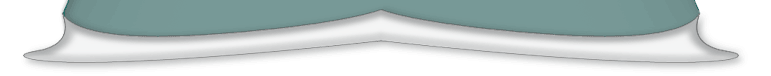 Web Site Design Services
